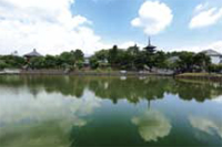 興福寺　景観